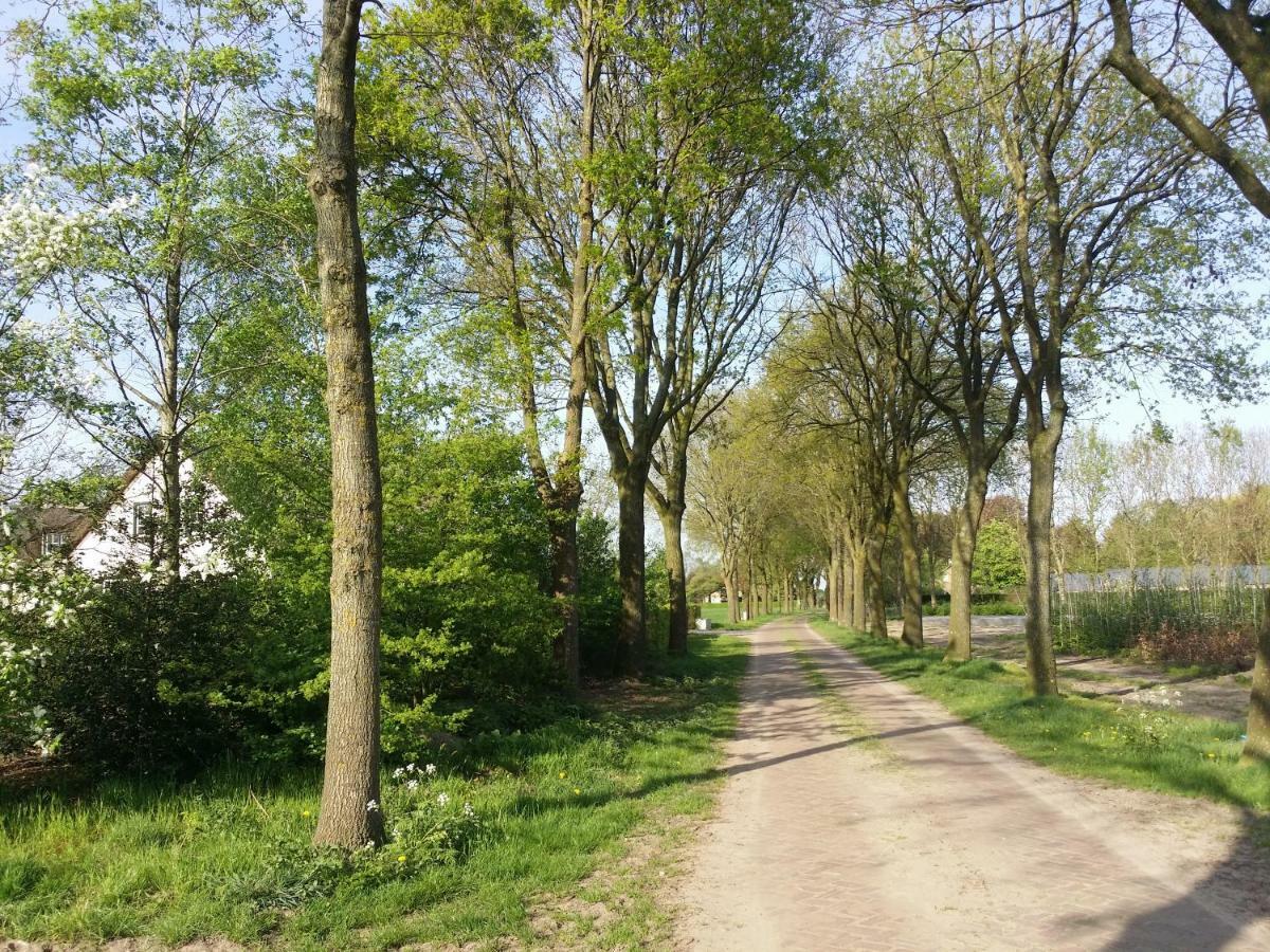 Guesthouse Rijsbergen_Zundert Zewnętrze zdjęcie